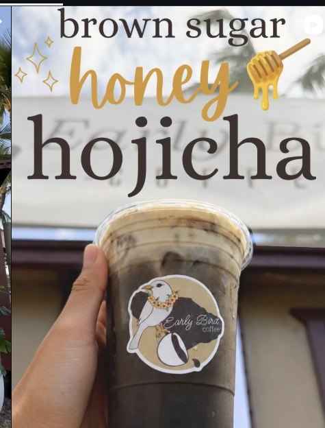 Iced brown sugar honey hojicha in an Early Bird logo cup.